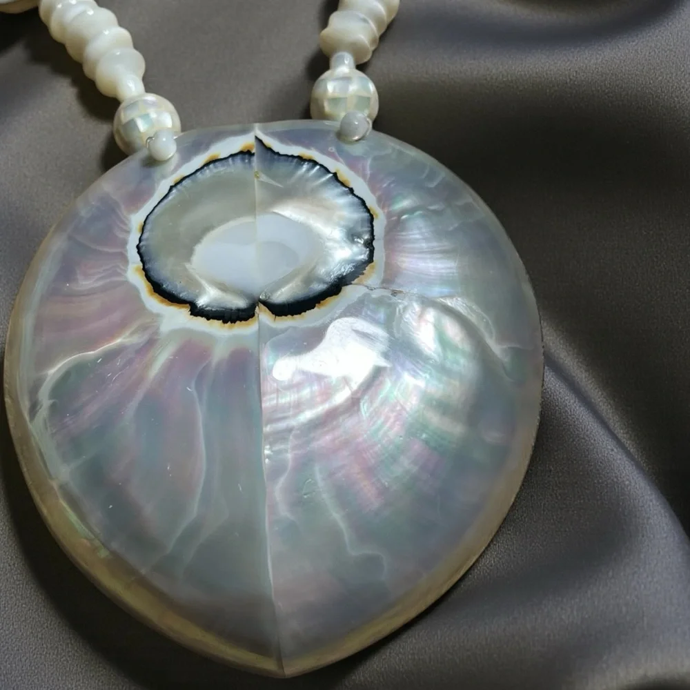 Beautiful Ammonite Shell Necklace - Picture 2 of 5